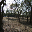 The Cleared lot with no construction